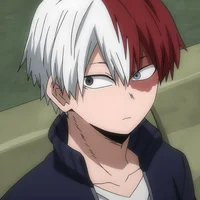 Shoto Todoroki 