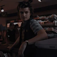 Steve Harrington 
