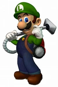LM Luigi