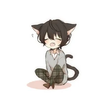 Cat ritsu