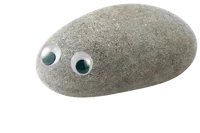 Pet Rock