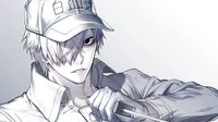 White Blood Cell