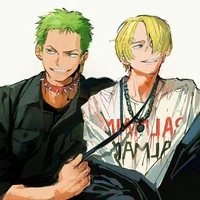 Zoro e Sanji 