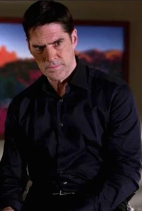 Aaron hotchner 