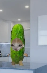 cucumber cat