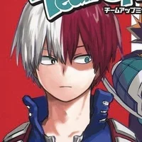 Shoto Todoroki BR