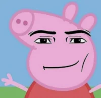 peppa pro