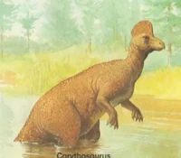 corythosaurus