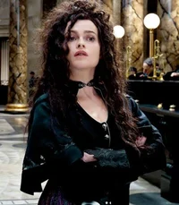 Bellatrix Hermione