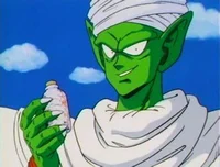 Piccolo Jr