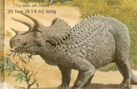 triceratops
