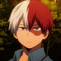 Shoto Todoroki 