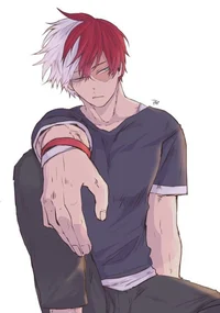 Shouto Todoroki