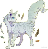 Warrior cats