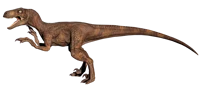 velociraptor