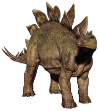 Stegosaurus