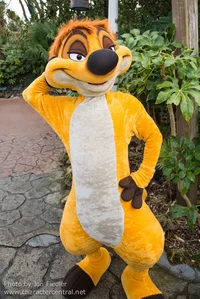 timon mascot