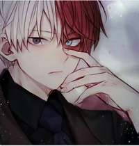 Shoto Todoroki