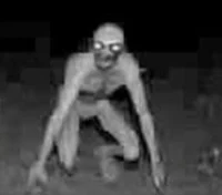 Skinwalker