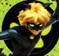 Cat Noir