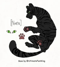 Nera