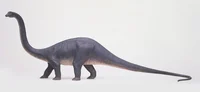 diplodocus
