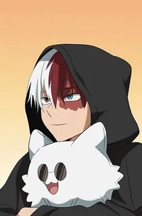 Shoto Todoroki 