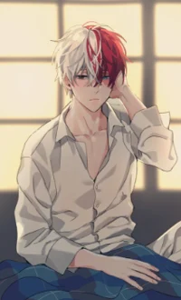 Todoroki