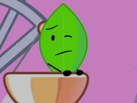 Leafy-BFB