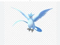 Shiny articuno 