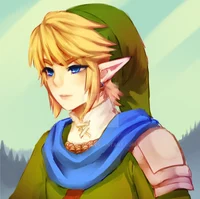 Hyrule Warriors Link