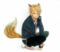 Fox Sanji Vinsmoke 