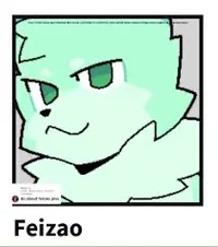 Feizao