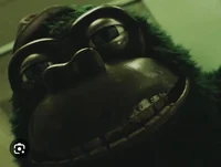 Gus gorilla 