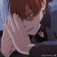 Shoto todoroki 