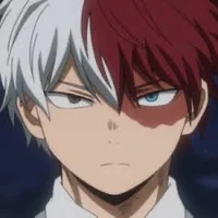 Shoto Todoroki