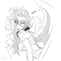 Hawks