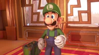 Luigi
