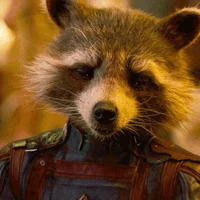 Rocket Raccoon