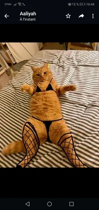 JFKDKZKAKKAKAK1LALAL