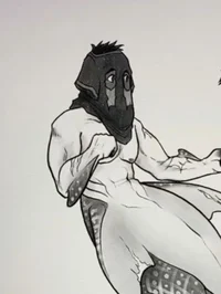 Konig shark whale Au