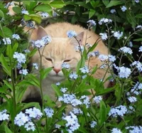 R-Una vida tranquila