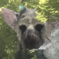 Trico
