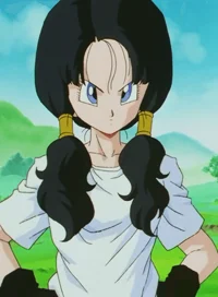 Videl