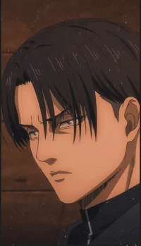Levi Ackerman 