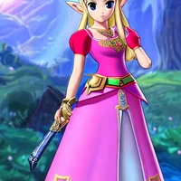 Zelda Costume
