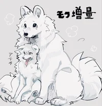 Lev Haiba FOX_FREIND