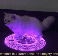 Omnipotent Cat