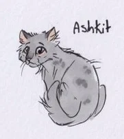 Ashkit 