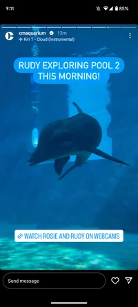 Rudy the Rough Tooth